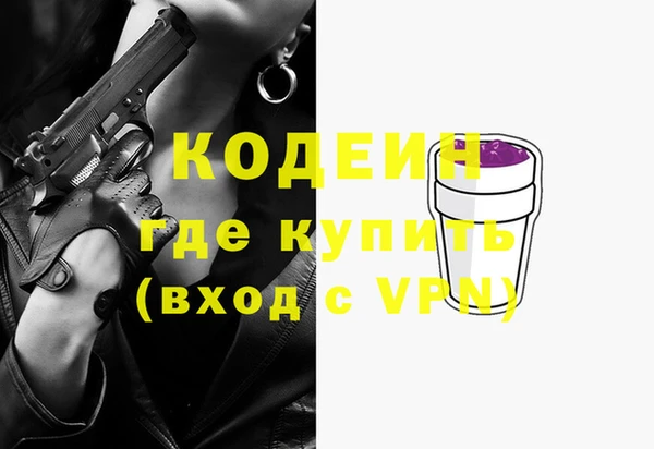 амф Гусь-Хрустальный