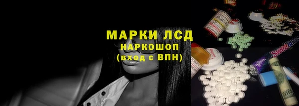 амф Гусь-Хрустальный