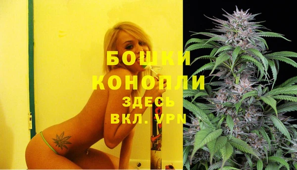 амф Гусь-Хрустальный