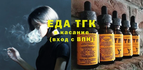 амф Гусь-Хрустальный