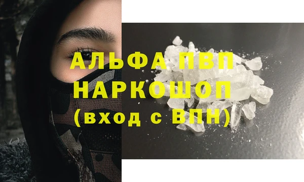 амф Гусь-Хрустальный