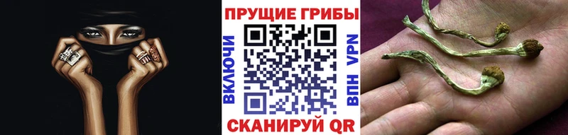 Псилоцибиновые грибы прущие грибы сайты даркнета клад Железноводск