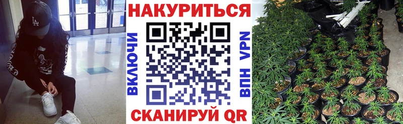 Марихуана сатива  Железноводск 